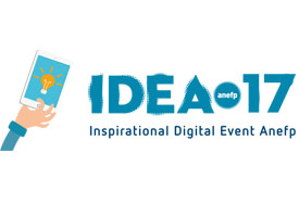 IDEA 17