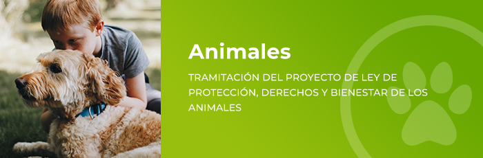 Asociación Española de Anunciantes