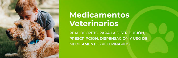 Asociación Española de Anunciantes Asociación Española de Anunciantes