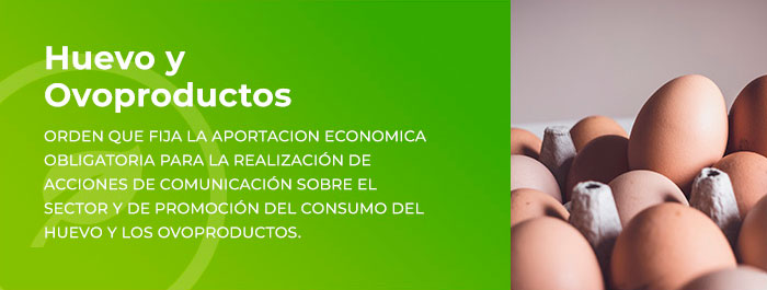 Asociación Española de Anunciantes Asociación Española de Anunciantes